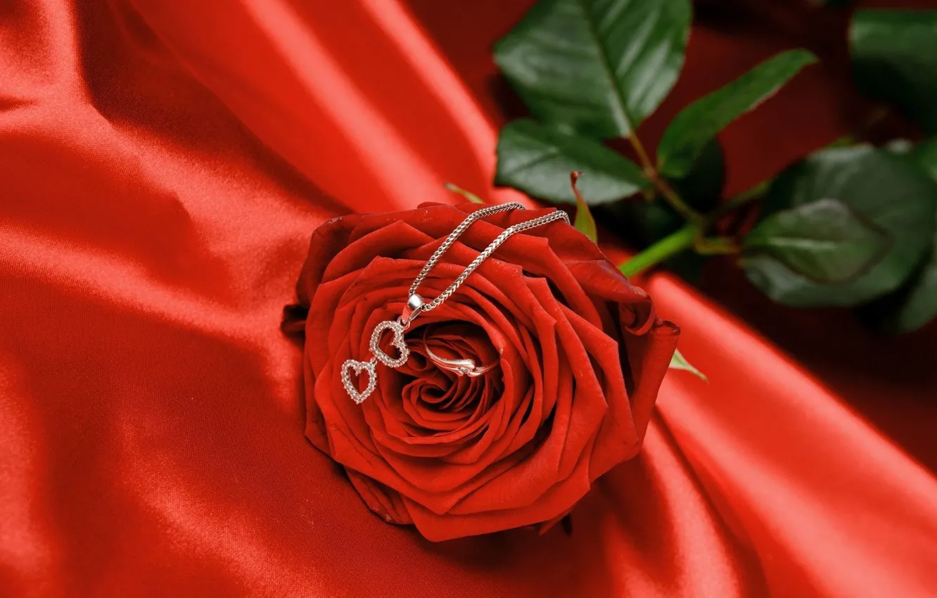 Photo wallpaper flower, love, romance, heart, rose, silk, ring, fabric