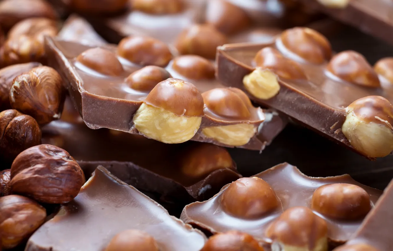Photo wallpaper chocolate, sweets, nuts, dessert, sweet, hazelnuts, forest, milk