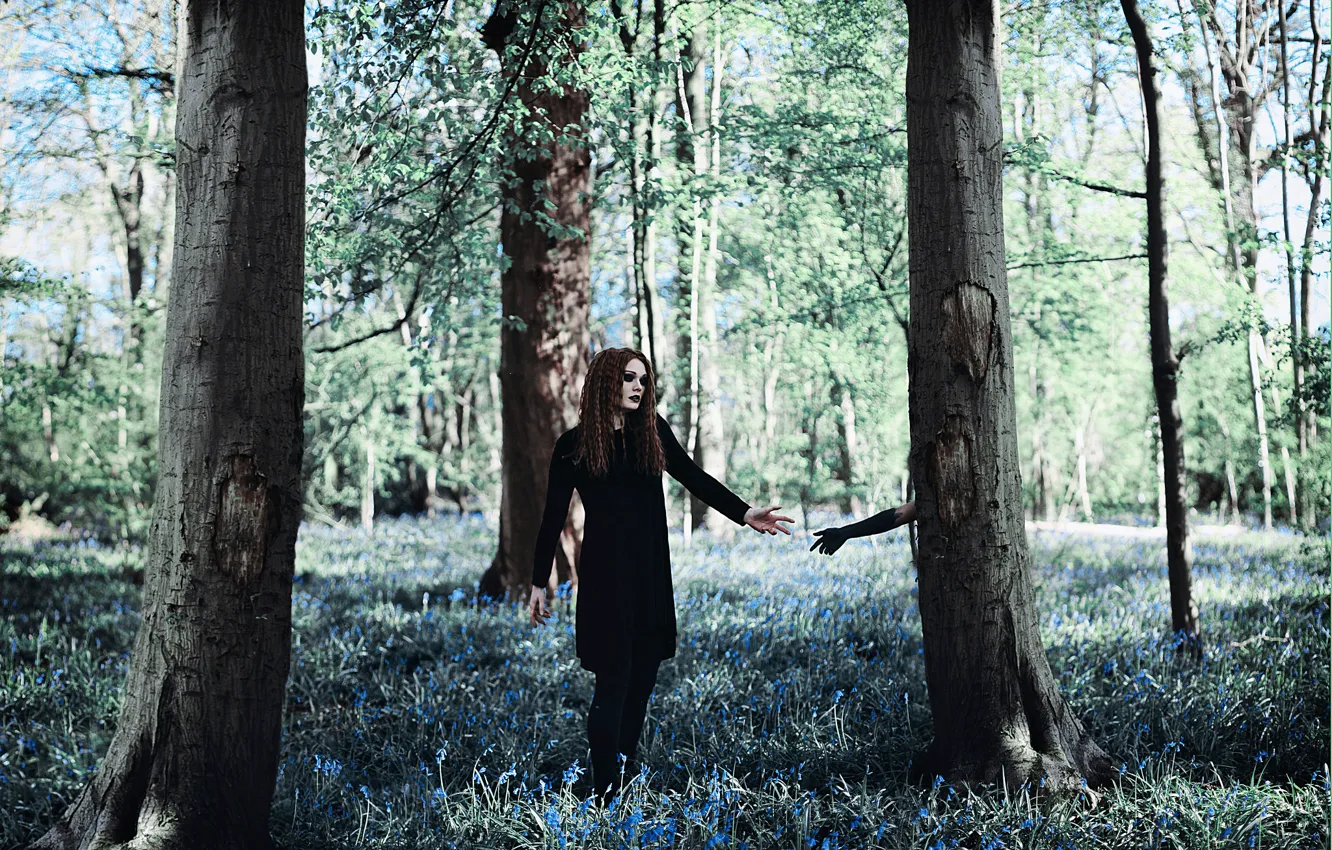 Photo wallpaper forest, girl, tree, hand, Amy Spanos, The Darkness