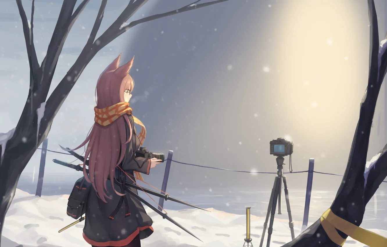 Photo wallpaper winter, water, girl, snow, the camera, ears