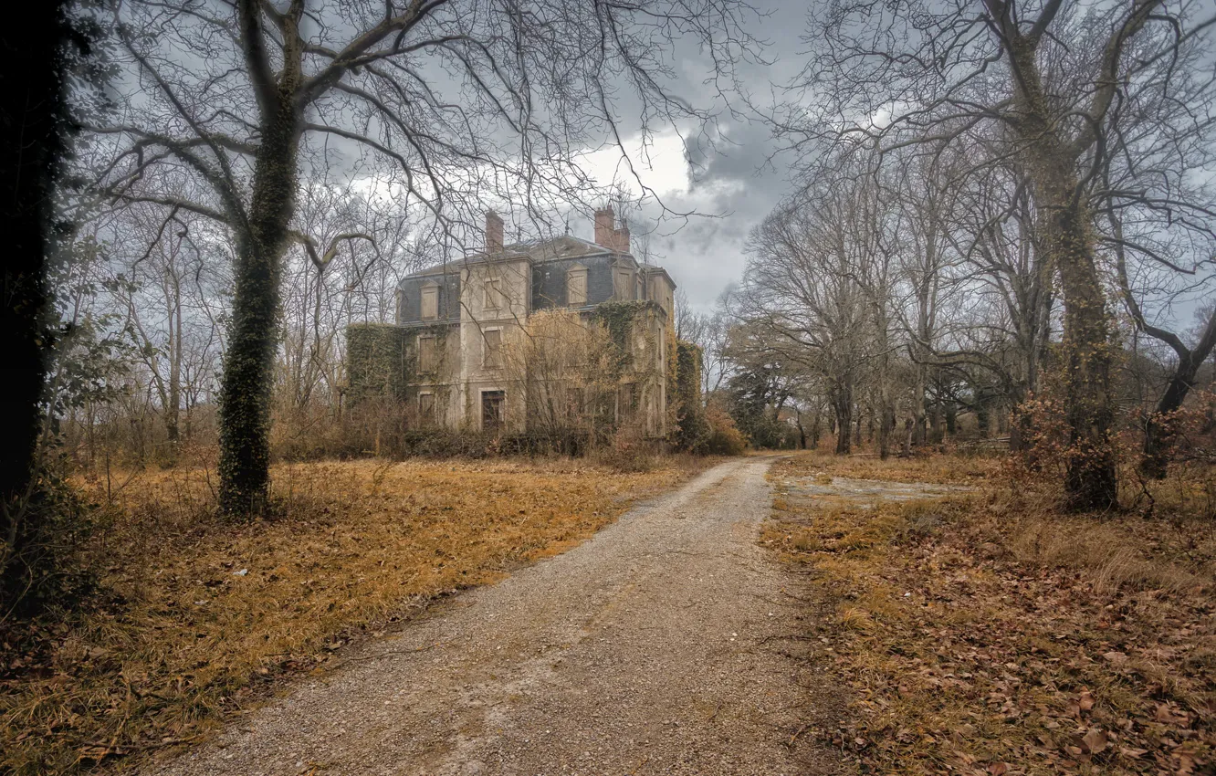 Photo wallpaper road, the darkness, home