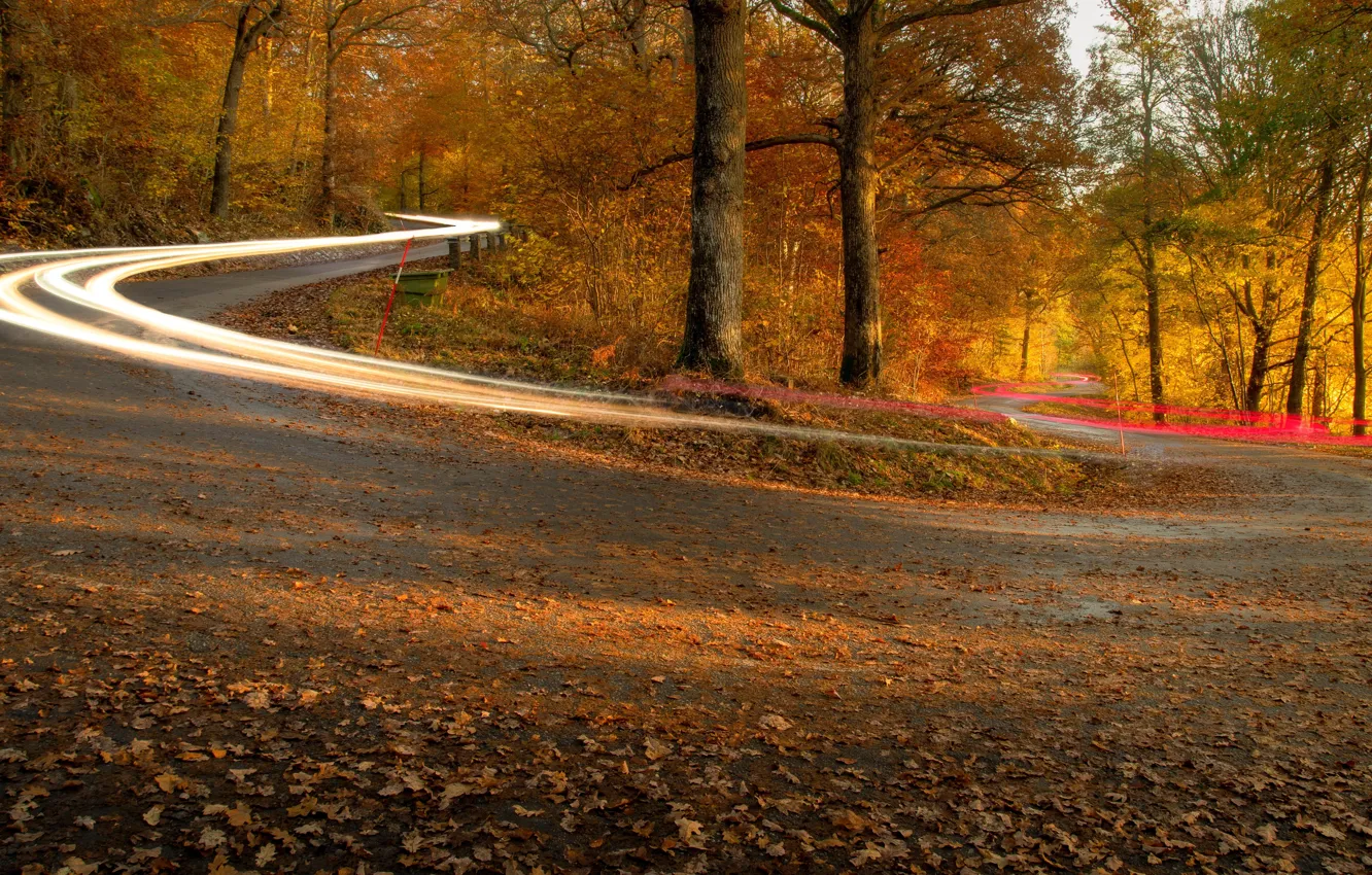 Photo wallpaper road, autumn, lights
