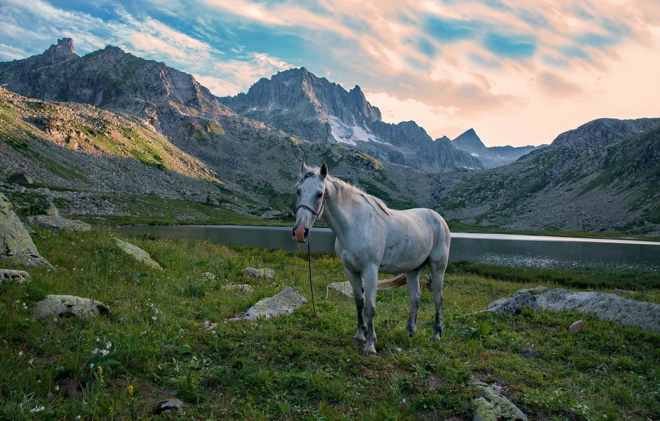 Photo wallpaper clouds, mountains, lake, horse, space, green grass, Altay, mountain landscape