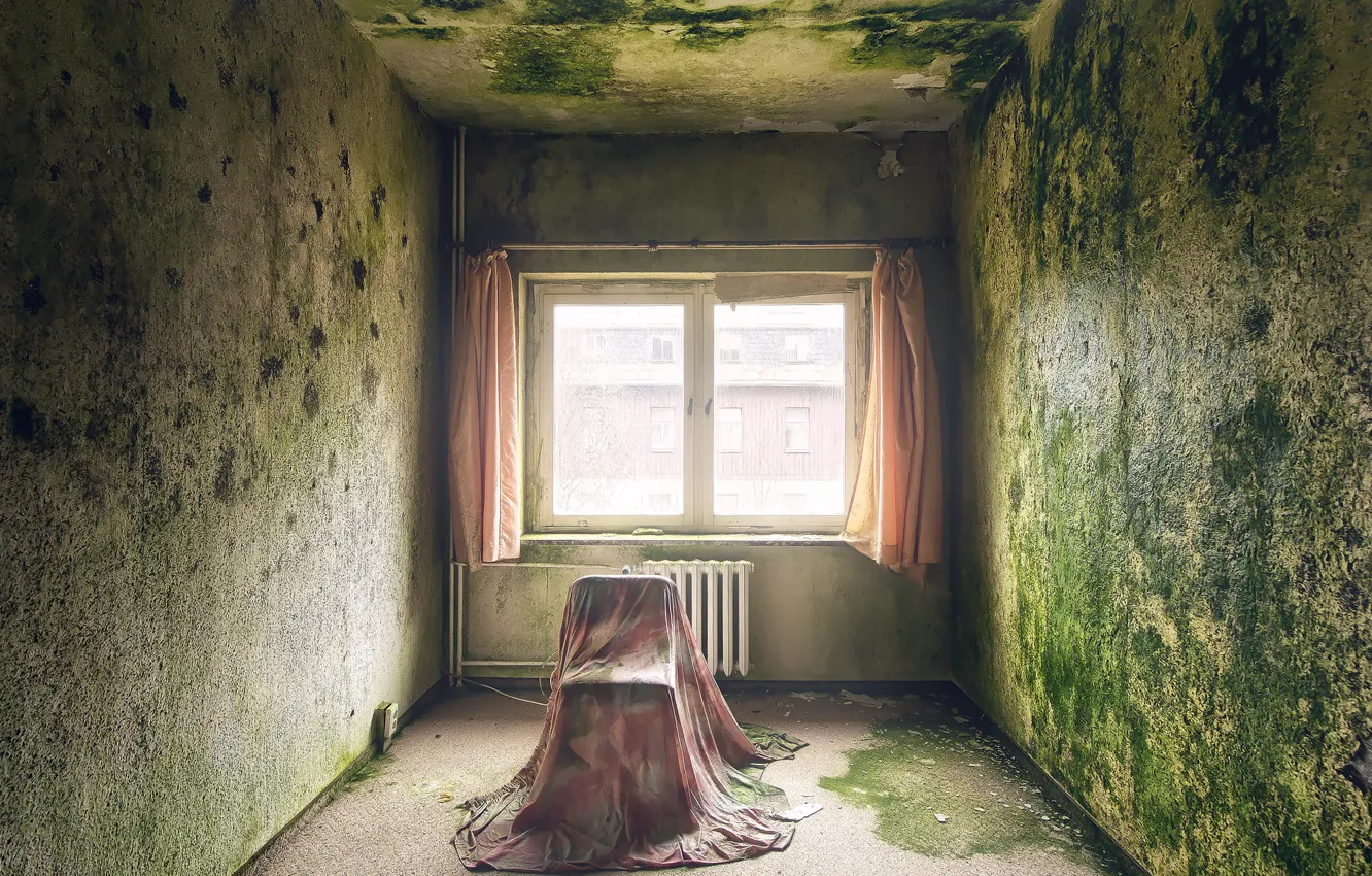 Photo wallpaper room, wall, window