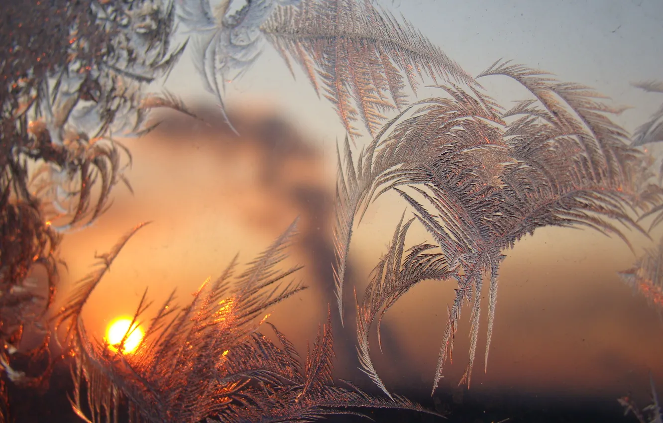 Photo wallpaper frost, dawn, pattern, window, different