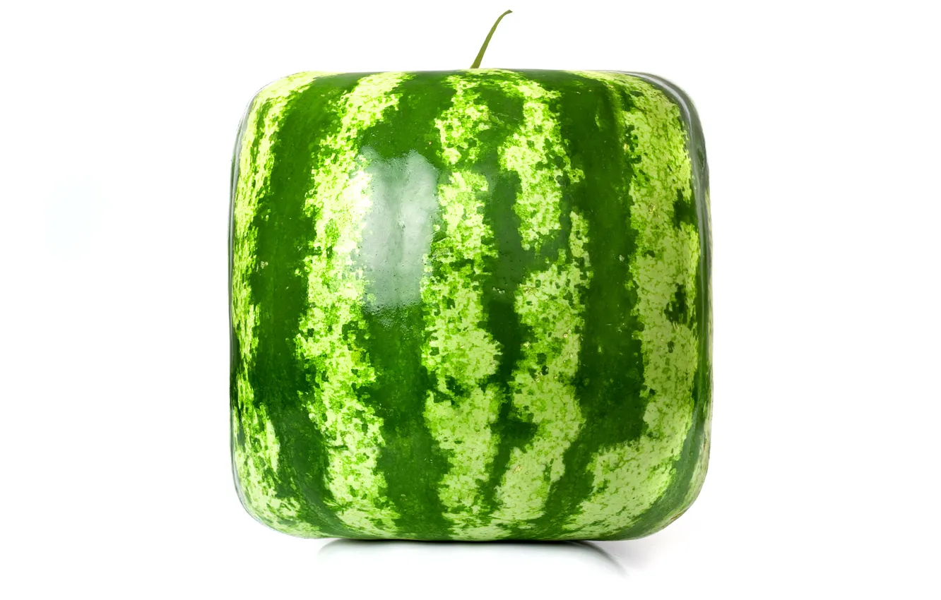 Photo wallpaper rendering, square, watermelon, cube, square watermelon