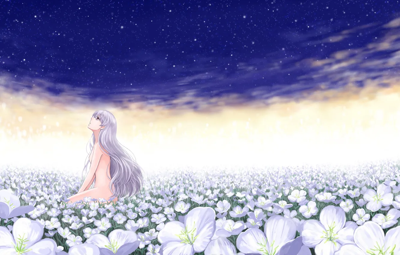 Photo wallpaper field, girl, Nude, white flowers, darker than black, Yin