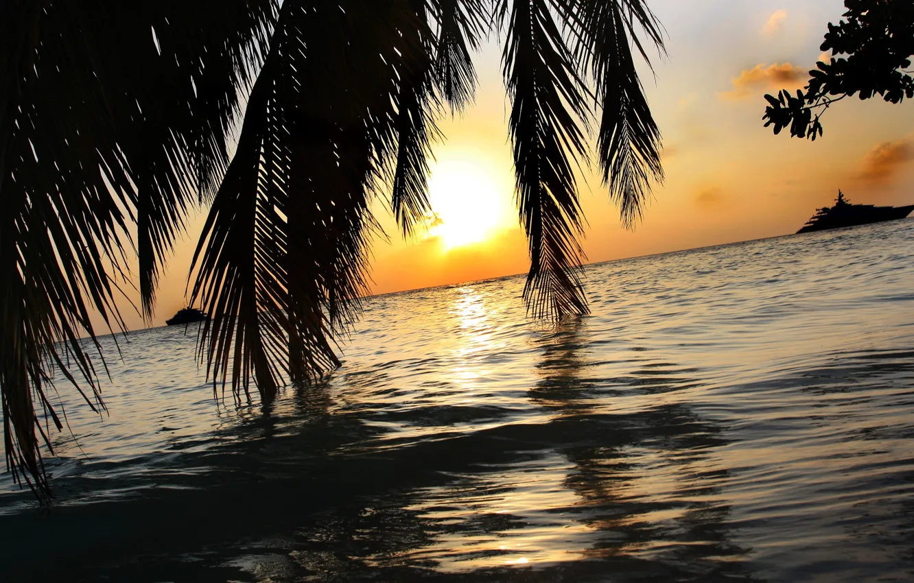 Photo wallpaper sea, the sky, the sun, sunset, palm trees, stay, yachts, Island