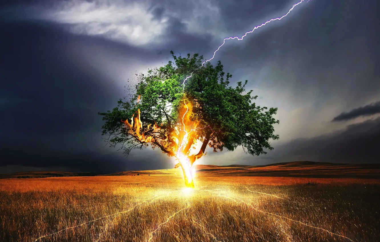 Photo wallpaper the sky, trees, lights, lightning