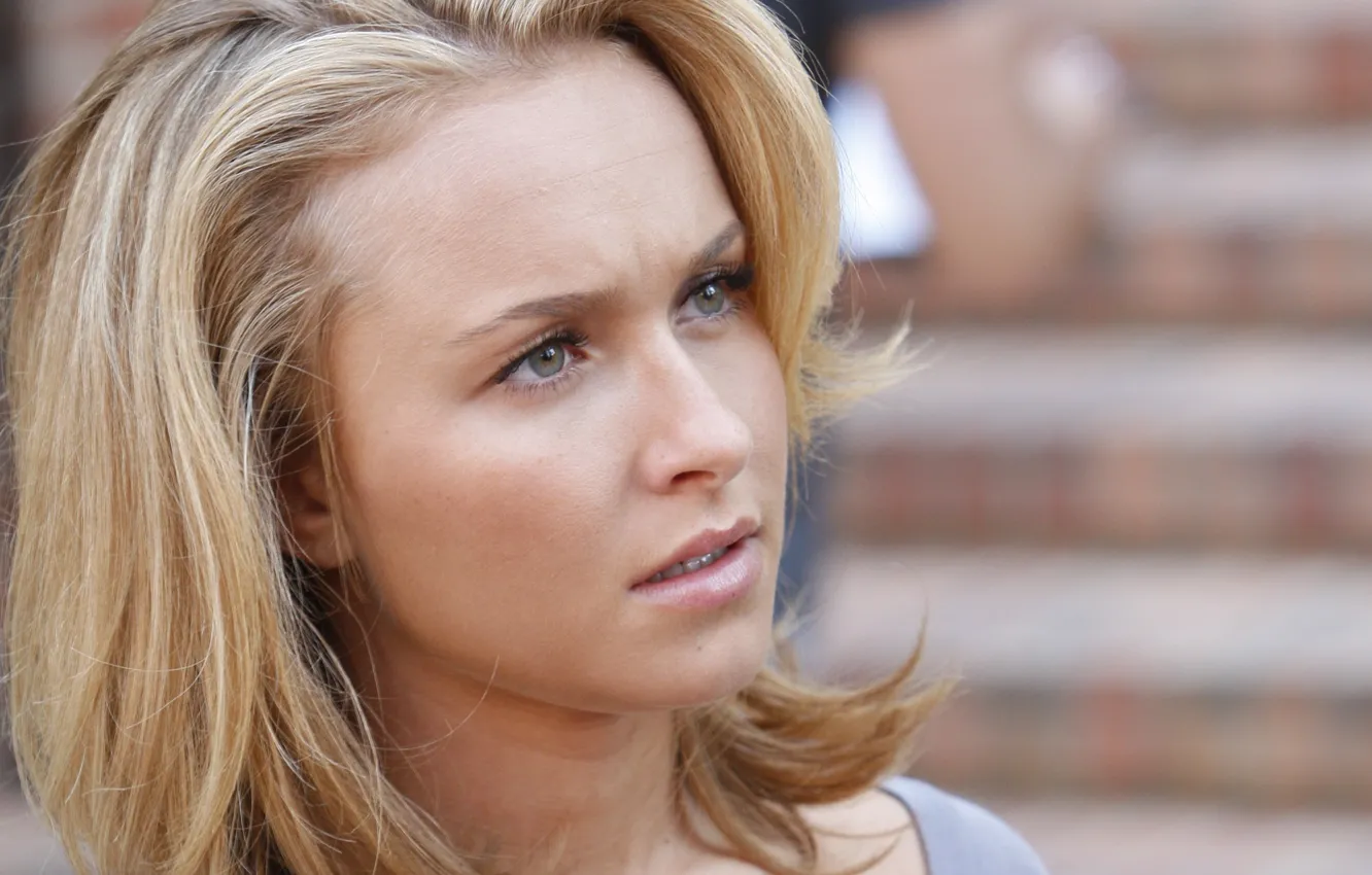 Photo wallpaper actress, Hayden Panettiere, blonde