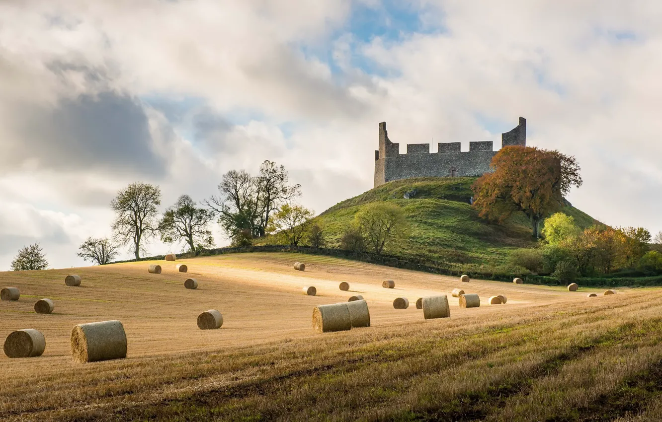 Photo wallpaper field, hay, Scottish Borders, Hume Castle
