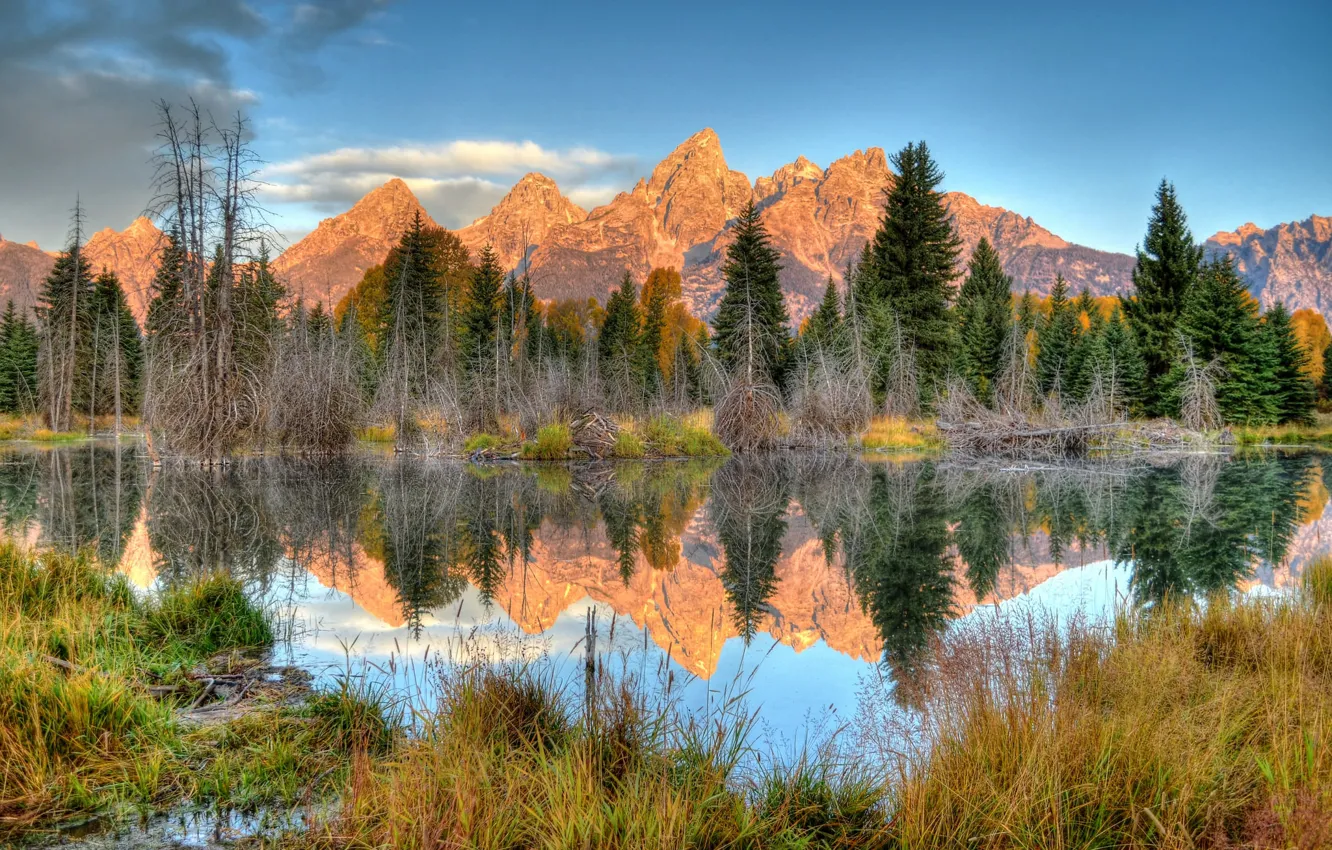 Photo wallpaper trees, landscape, mountains, lake, reflection