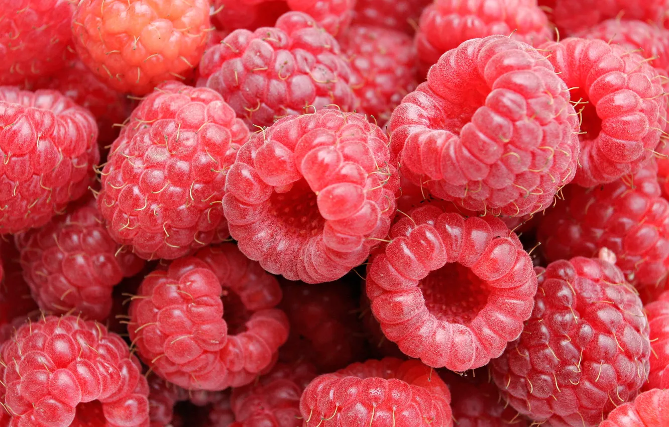 Photo wallpaper raspberry, berry, Raspberries
