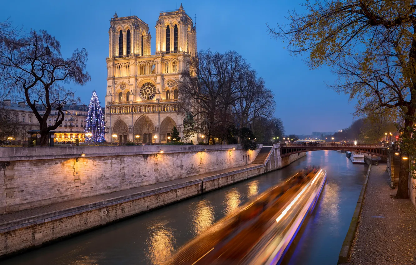 Photo wallpaper trees, river, France, Paris, Paris, Notre Dame Cathedral, France, His River