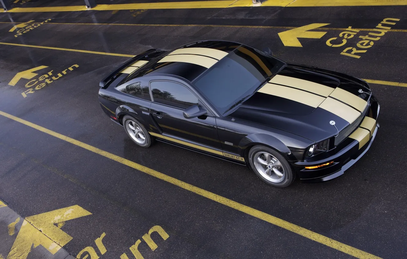 Photo wallpaper Mustang, Shelby, GT500