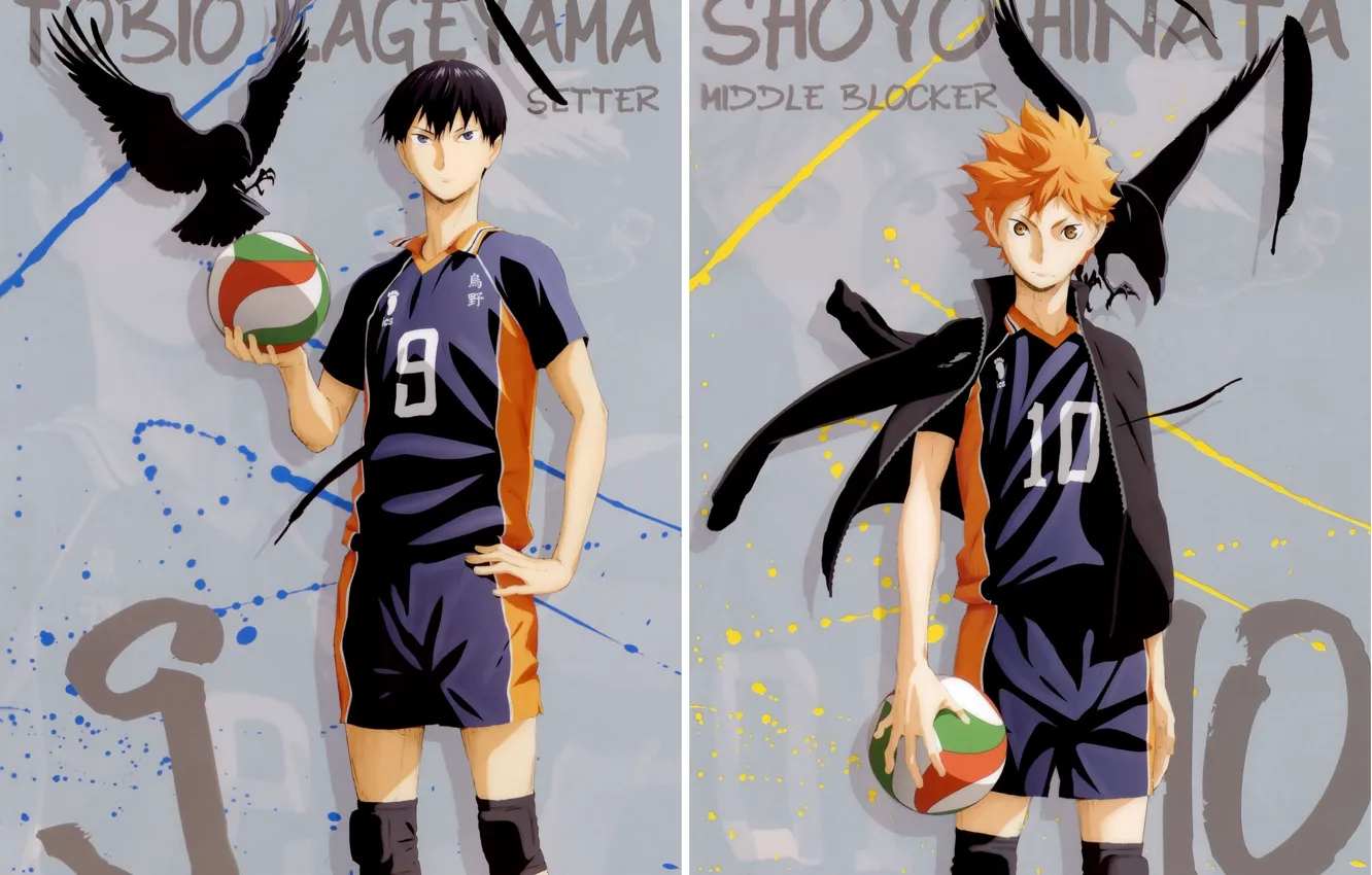 Photo wallpaper the ball, feathers, red, crows, guys, sports uniforms, Haikyuu!!, Volleyball!