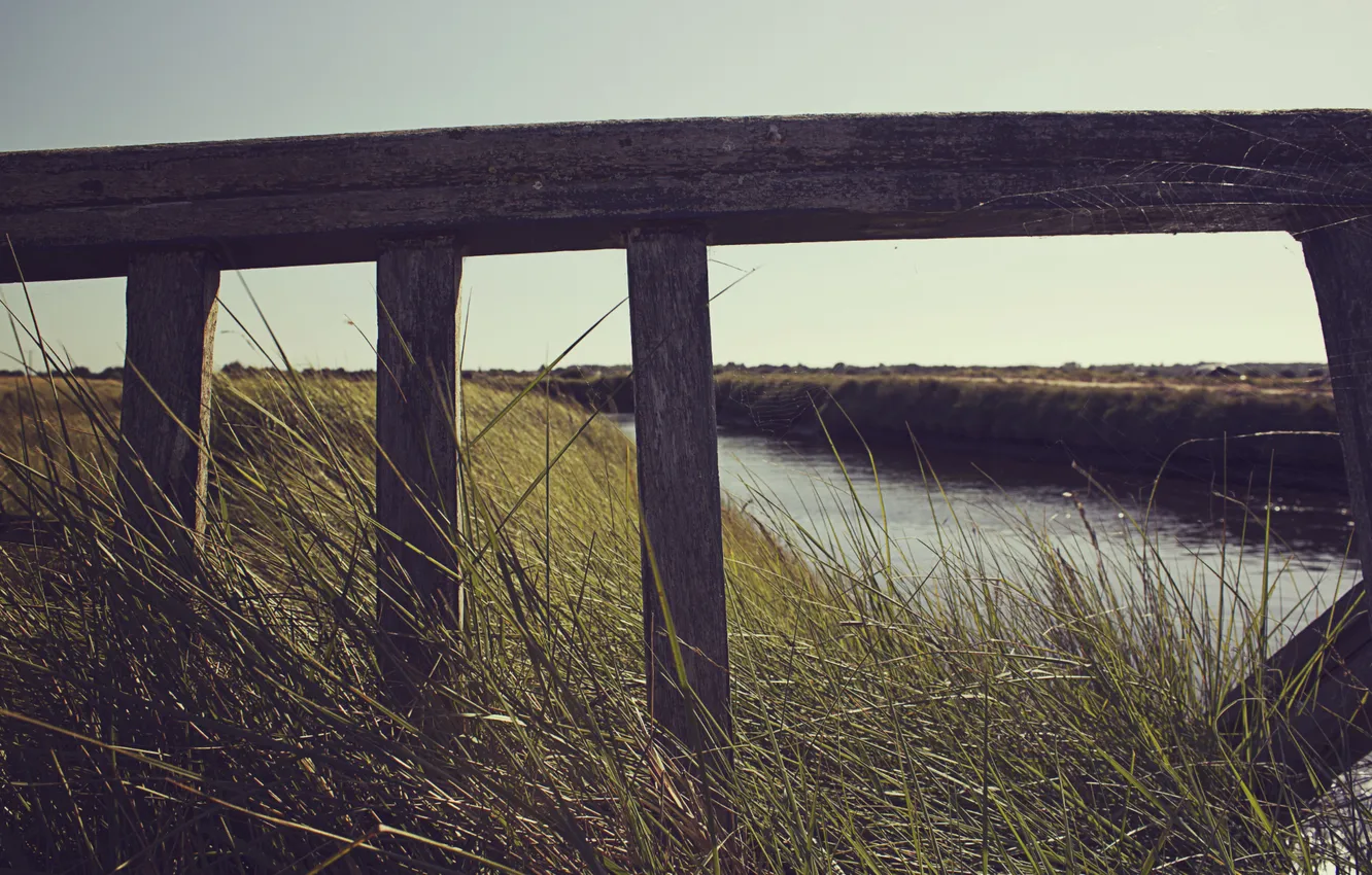 Photo wallpaper road, the sky, grass, water, trees, nature, web, river