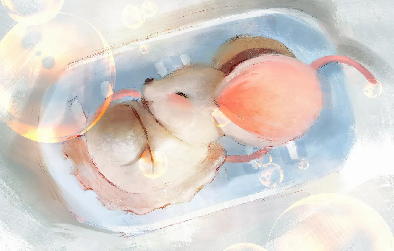 Photo wallpaper mouse, mouse, sleeping, from panda, by Panda