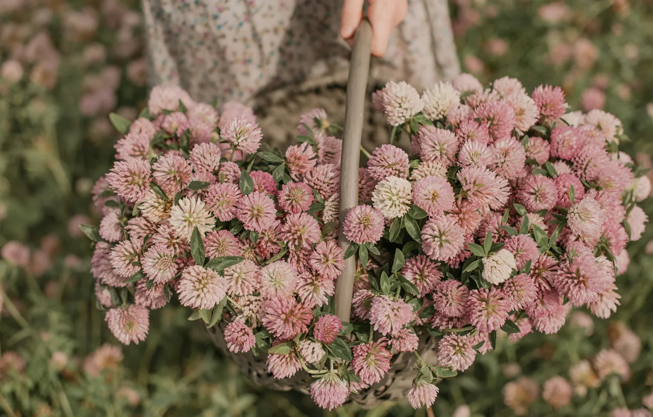 Photo wallpaper basket, hands, clover