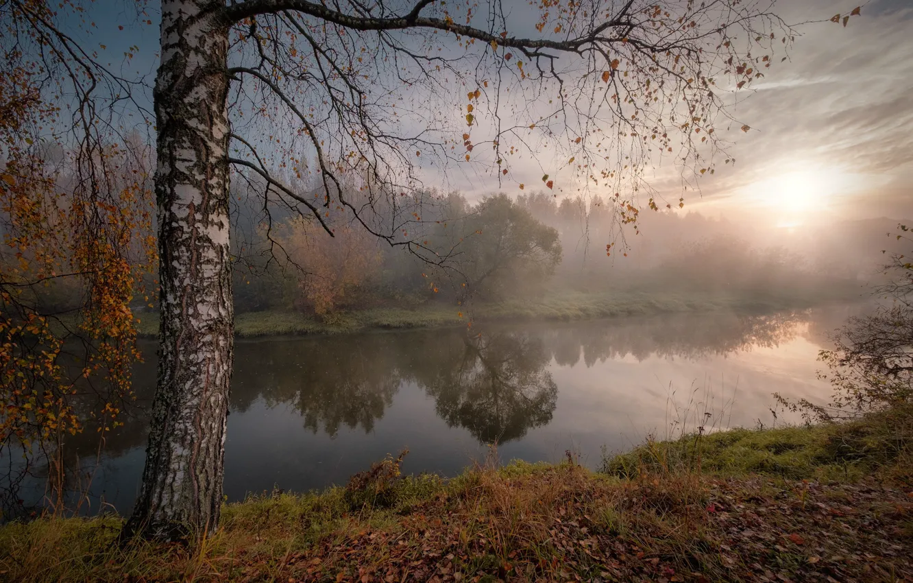 Photo wallpaper autumn, the sun, rays, landscape, nature, fog, river, tree