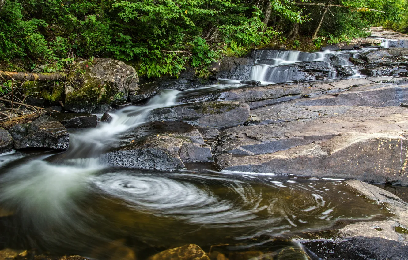 Photo wallpaper forest, trees, river, stream, stones, rocks, stream