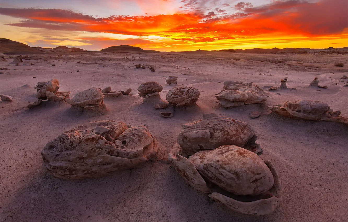 Photo wallpaper landscape, sunset, desert