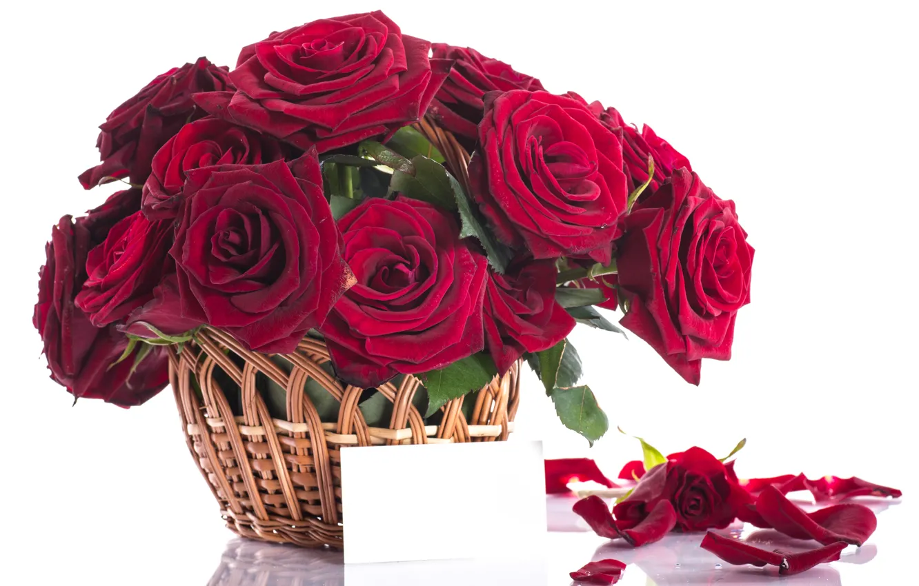 Photo wallpaper flowers, red, roses, bouquet, petals