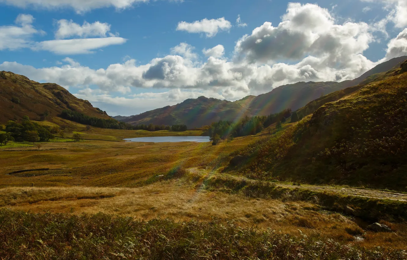 Photo wallpaper field, autumn, forest, the sky, grass, clouds, rays, light