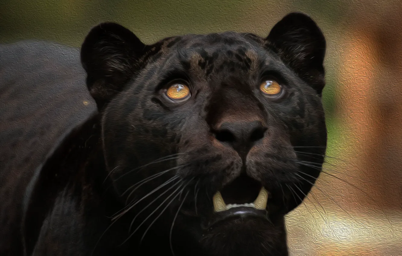 Photo wallpaper face, predator, Jaguar, wild