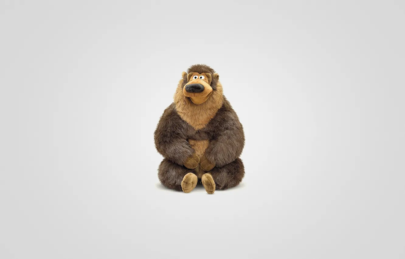 Photo wallpaper animal, toy, bear, sitting, light background, bear