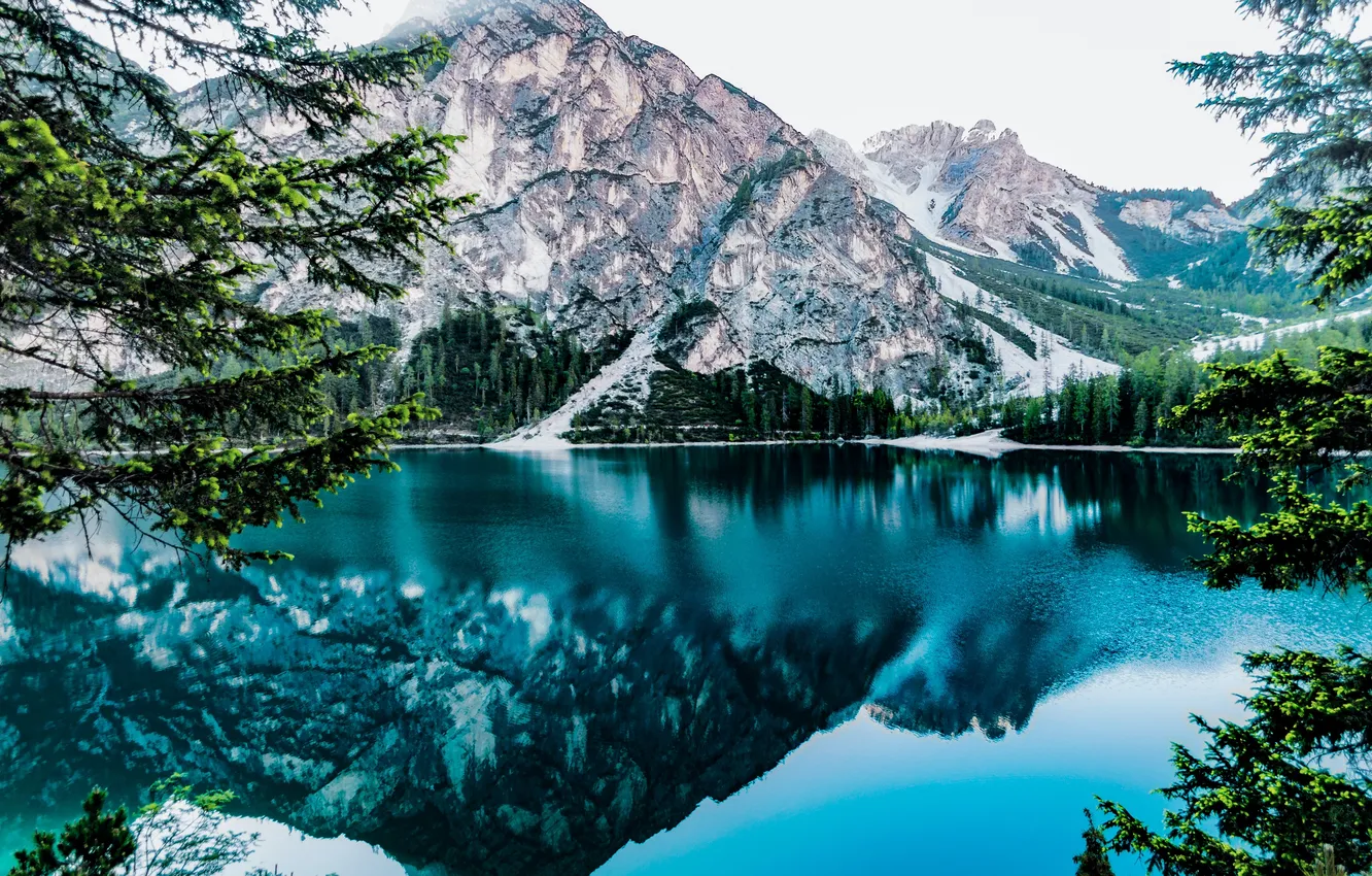 Photo wallpaper forest, the sky, water, snow, trees, landscape, mountains, nature