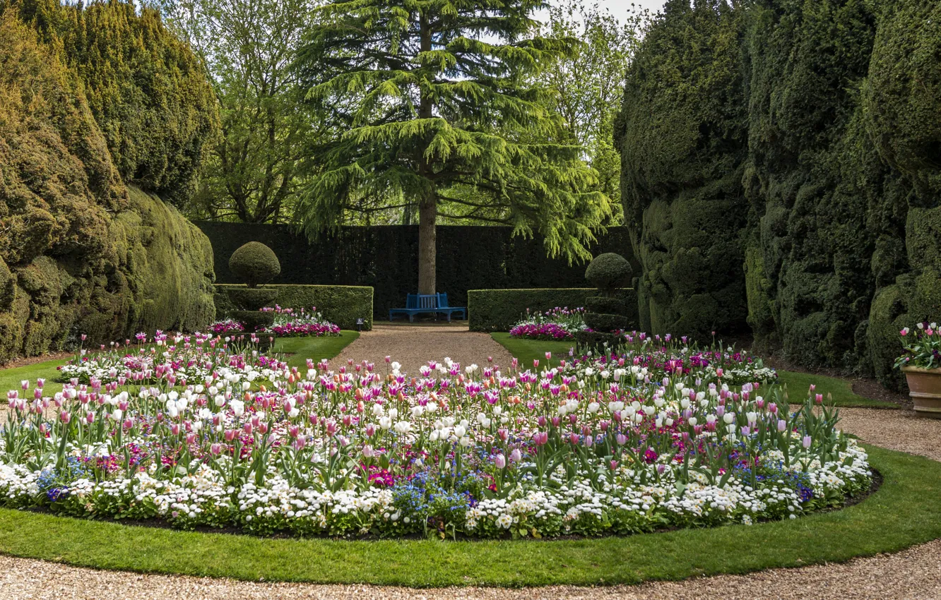 Photo wallpaper flowers, photo, garden, UK, Ascott House Garden