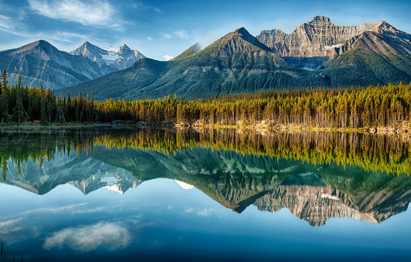 Photo wallpaper forest, the sky, clouds, trees, mountains, lake, reflection