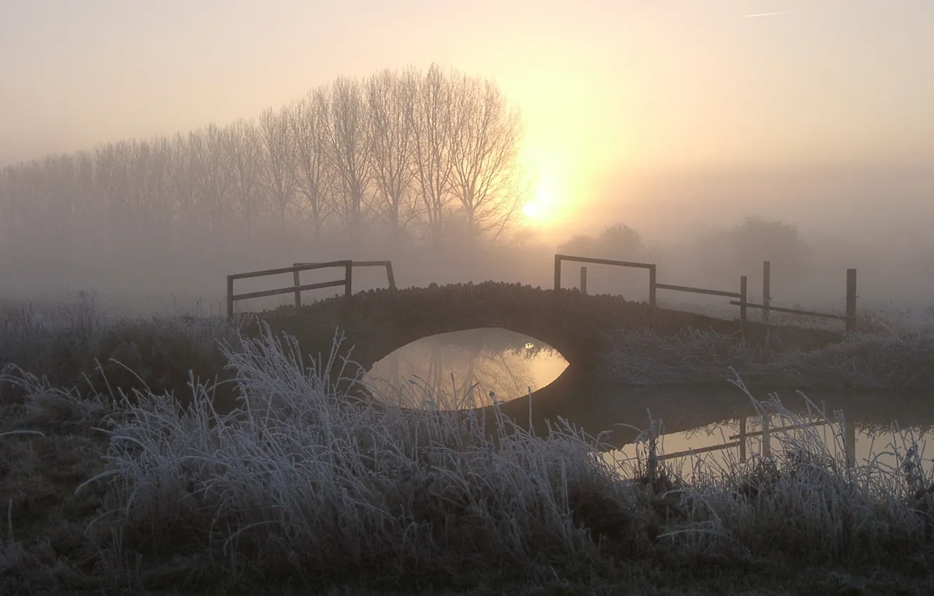 Photo wallpaper bridge, fog, morning