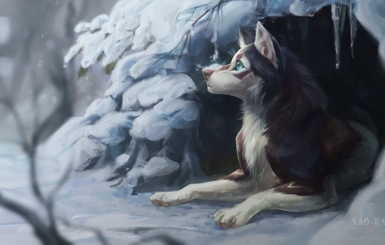 Photo wallpaper winter, snow, nature, dog, Nora, by Vao-Ra