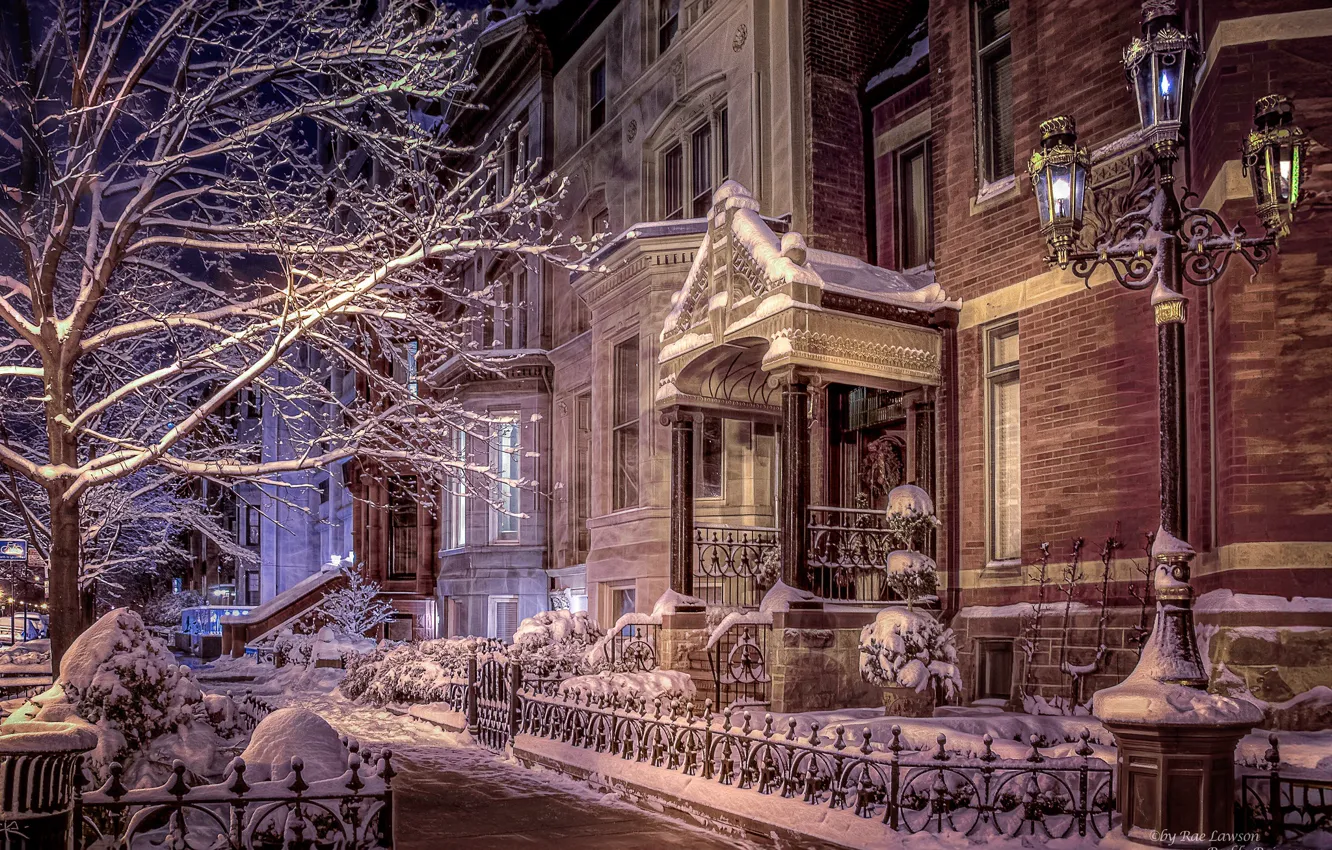 Photo wallpaper winter, snow, trees, building, home, Chicago, lights, Il