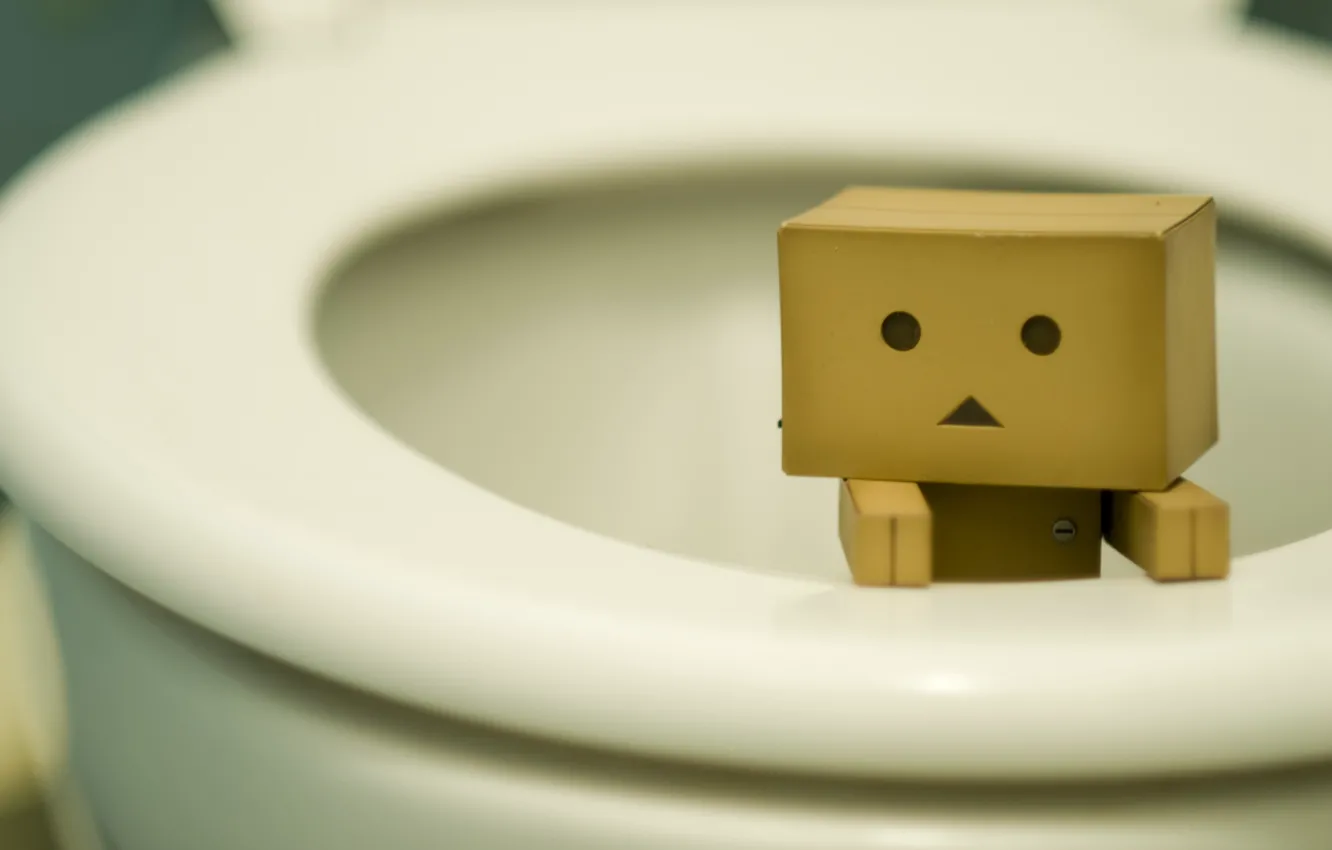 Photo wallpaper box, toilet, danbo, the toilet, figures, need