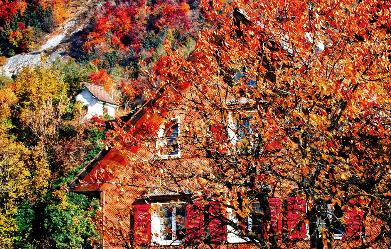 Photo wallpaper autumn, leaves, mountains, house, tree, slope