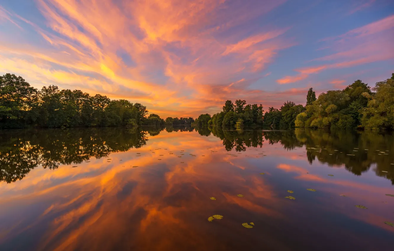 Photo wallpaper trees, sunset, lake, reflection, Germany, Hamburg, Germany, Hamburg