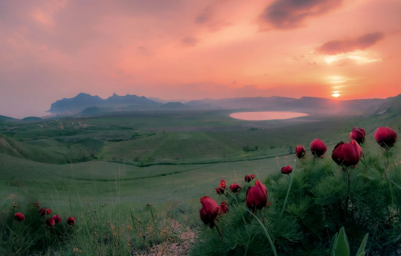 Photo wallpaper landscape, flowers, mountains, nature, dawn, field, spring, morning