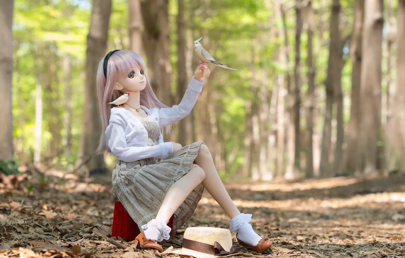 Photo wallpaper forest, toy, doll, birds