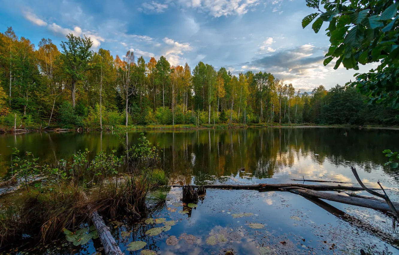 Photo wallpaper autumn, forest, landscape, nature, lake, reflection