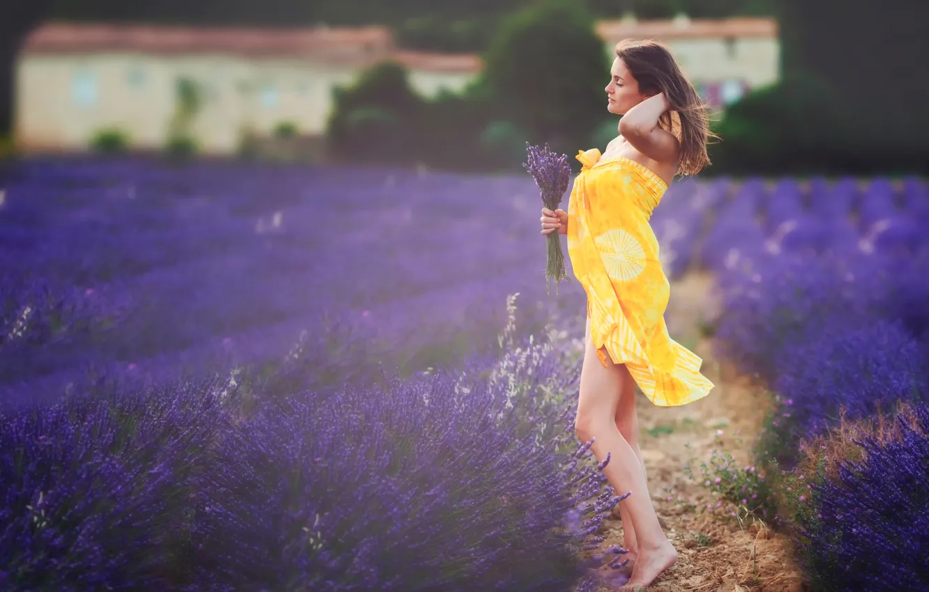 Photo wallpaper field, girl, bouquet, lavender