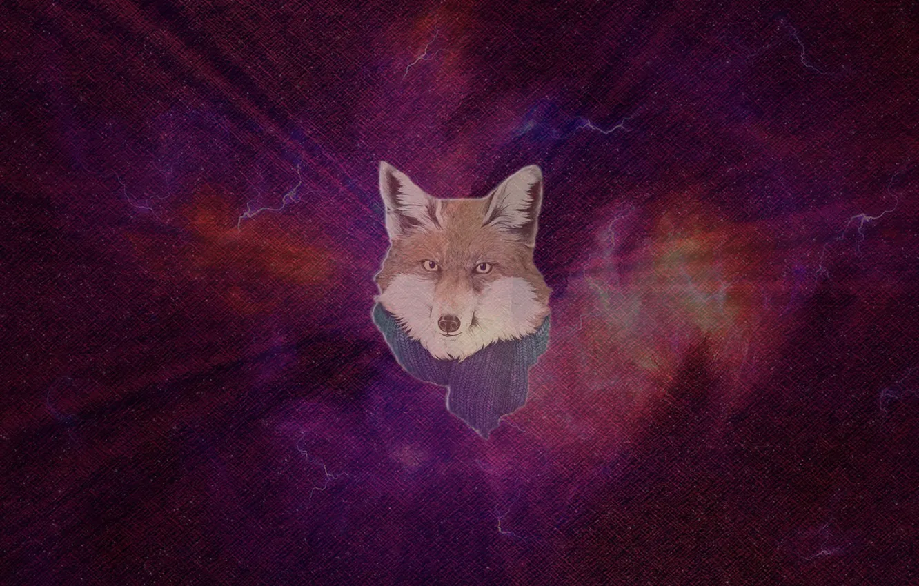 Photo wallpaper space, Fox, Fox