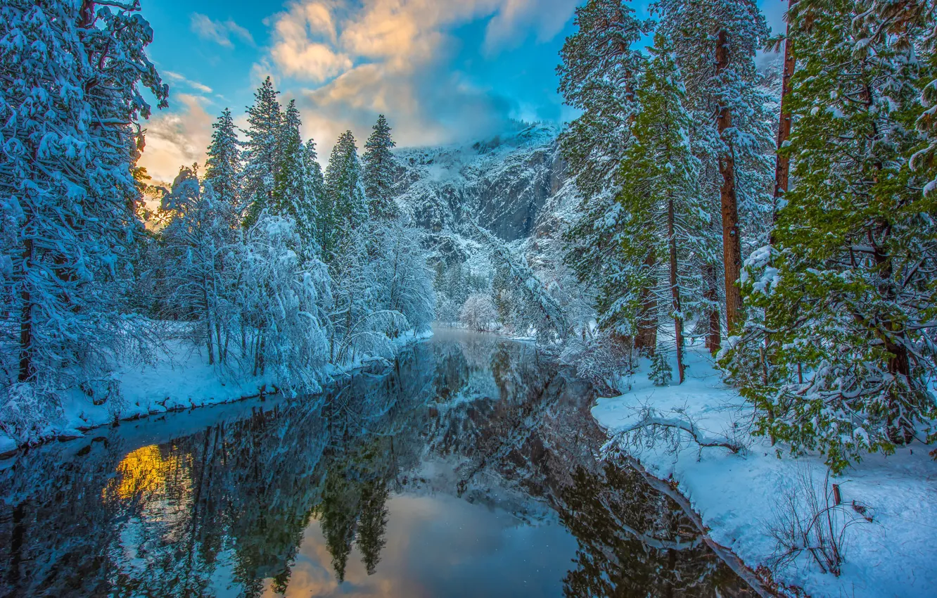 Photo wallpaper winter, forest, snow, trees, mountains, reflection, river, CA