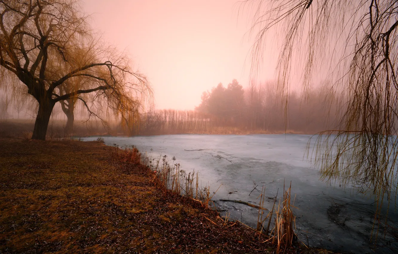 Photo wallpaper winter, nature, lake, morning