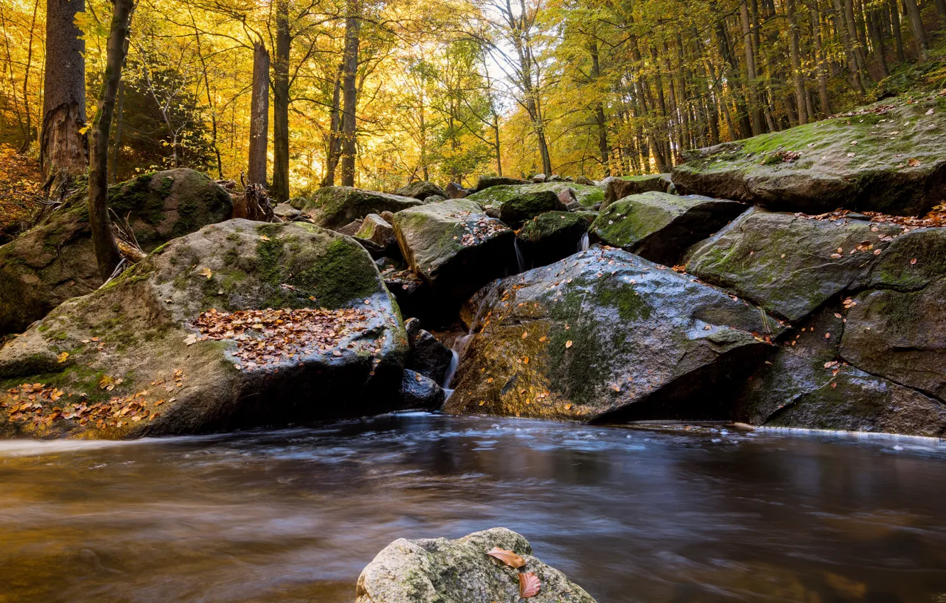 Photo wallpaper autumn, forest, water, river, stones, waterfall, hdr, ultra hd