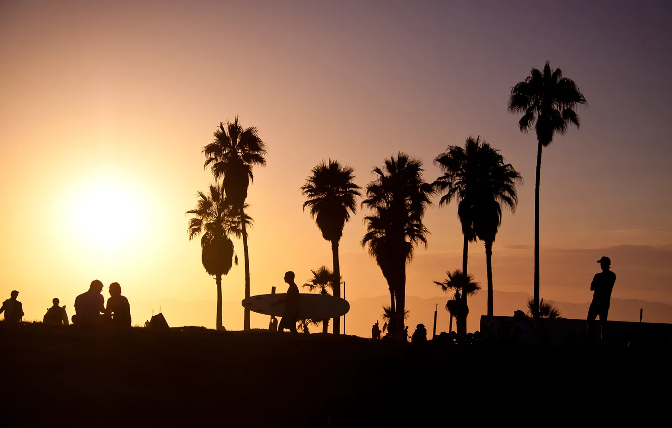 Photo wallpaper summer, california, sunset, usa, surf, los angeles, palm, vence beach