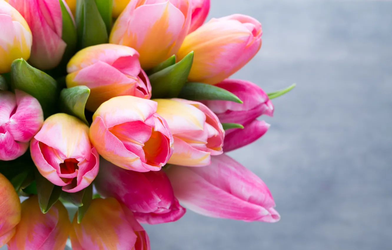 Photo wallpaper leaves, close-up, reflection, background, tulips, buds, bokeh