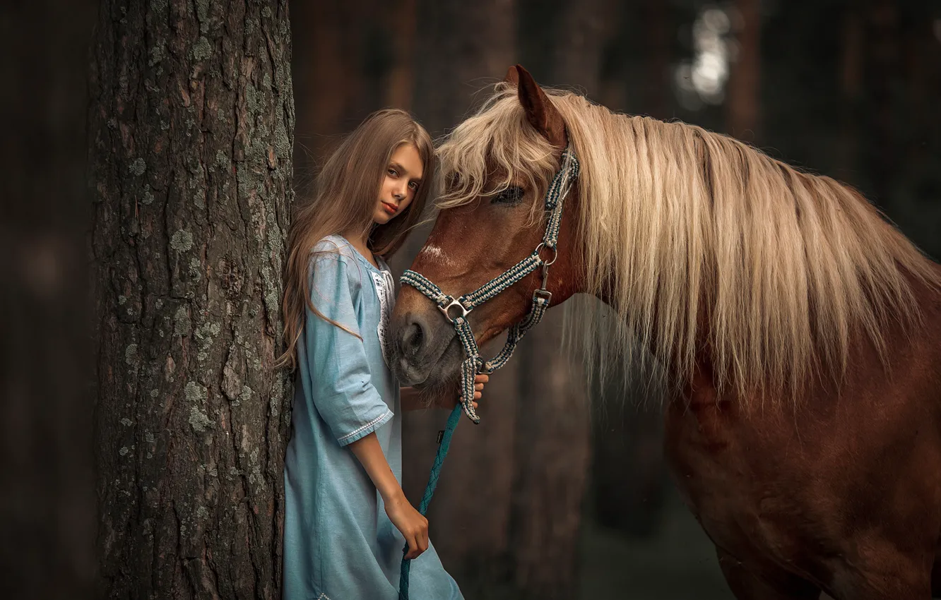 Photo wallpaper look, trees, horse, horse, dress, mane, girl
